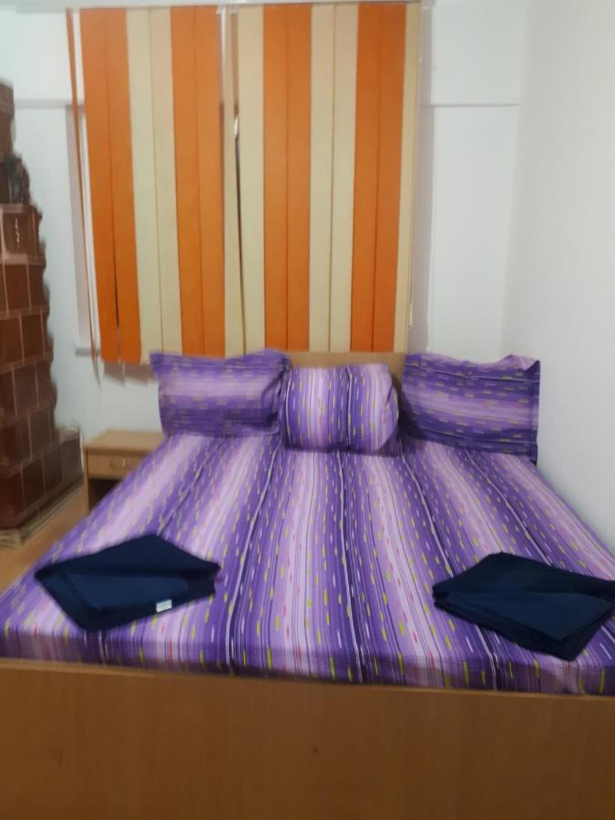 Apartament 2 Camere Semidecomandat "La Gicu" 苏利纳 外观 照片