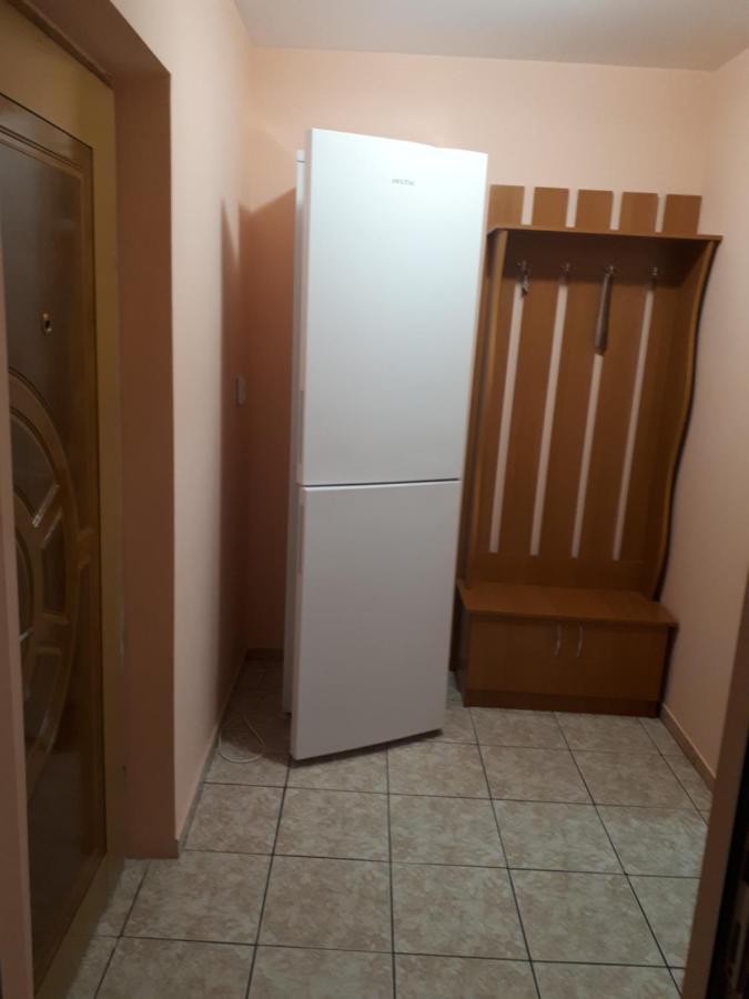Apartament 2 Camere Semidecomandat "La Gicu" 苏利纳 外观 照片